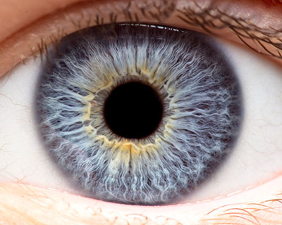 Closeup of a cornea