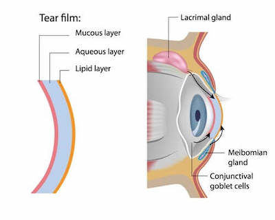 Dry eyes tear film diagram